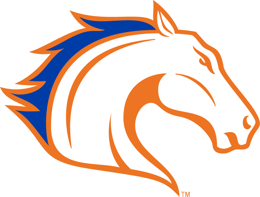 Texas-Arlington Mavericks 2010-Pres Secondary Logo diy iron on heat transfer